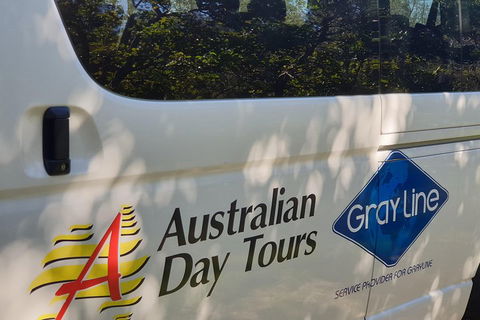 Natural Bridge Glow Worm Night Tour From Gold Coast - Accommodation Gold Coast 5