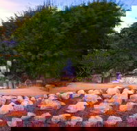 Byron Bay and the Crystal Castle Day Tour from Gold Coast - Accommodation Gold Coast