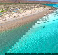 Ningaloo in a Day - Full Day Hike and Snorkel Tour with Lunch - Accommodation Gold Coast