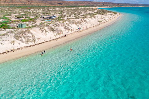 Ningaloo In A Day - Full Day Hike And Snorkel Tour With Lunch - Accommodation Gold Coast 0