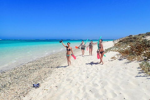 Ningaloo In A Day - Full Day Hike And Snorkel Tour With Lunch - Accommodation Gold Coast 1