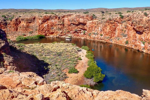 Ningaloo In A Day - Full Day Hike And Snorkel Tour With Lunch - Accommodation Gold Coast 2