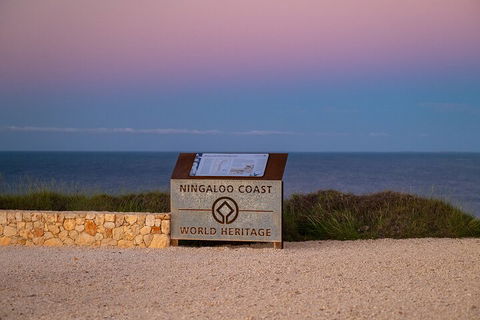 Ningaloo In A Day - Full Day Hike And Snorkel Tour With Lunch - Accommodation Gold Coast 5