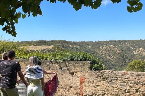 Private Mclaren Vale Wine Tour - Accommodation Gold Coast 2