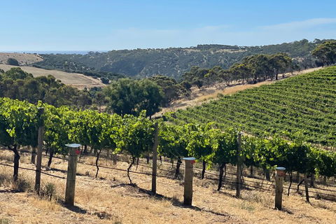 Private Mclaren Vale Wine Tour - Accommodation Gold Coast 3