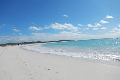 Shipwreck Special Nature Tour/Half Day Tour - Accommodation Gold Coast 0