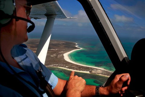 Shipwreck Special Nature Tour/Half Day Tour - Accommodation Gold Coast 1