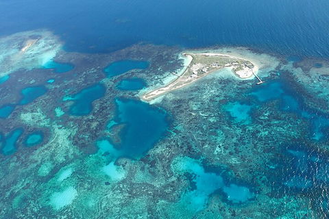 Shipwreck Special Nature Tour/Half Day Tour - Accommodation Gold Coast 5