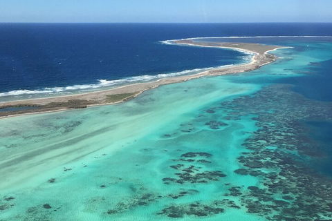 Pink Lake + Abrolhos Islands Nature Tour - Accommodation Gold Coast 2