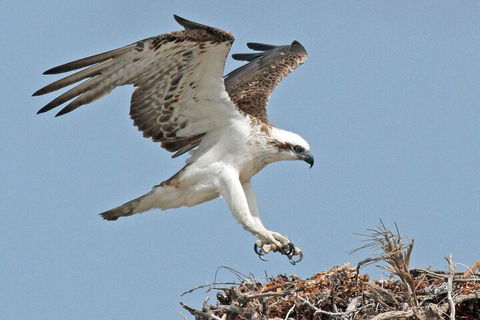 Pink Lake + Abrolhos Islands Nature Tour - Accommodation Gold Coast 3
