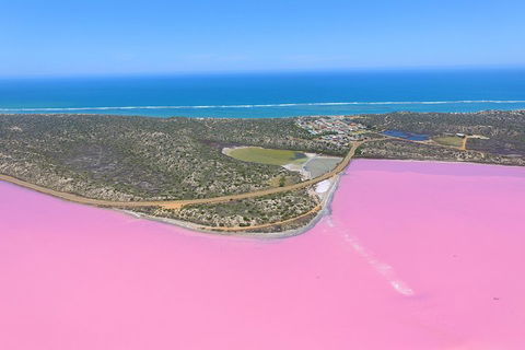 Pink Lake + Abrolhos Islands Nature Tour - Accommodation Gold Coast 4