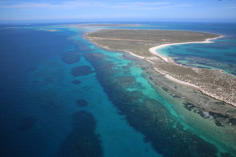 Pink Lake + Abrolhos Islands Scenic Flight - Accommodation Gold Coast 0