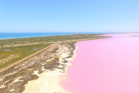 Pink Lake + Abrolhos Islands Scenic Flight - Accommodation Gold Coast 4