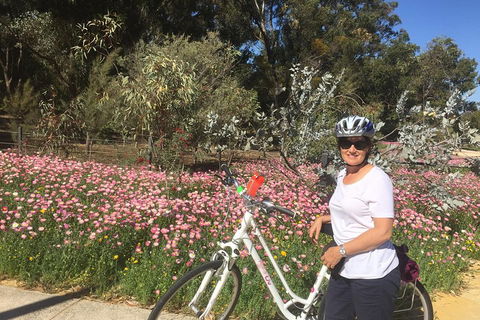 Perth Bike Tour - Beautiful Matilda Bay And Kings Park - Accommodation Gold Coast 1