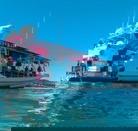 Best of Moreton Bay Cruise - 1 Gold Coast