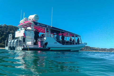 Best Of Moreton Bay Cruise - Accommodation Gold Coast 0