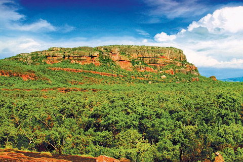 Kakadu, Nourlangie And Yellow Waters Tour From Darwin - Accommodation Gold Coast 3