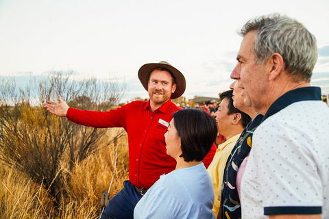 Uluru (Ayers Rock) Sunset With Outback Barbecue Dinner And Star Tour - Accommodation Gold Coast 3