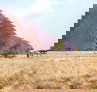 Uluru Sunrise and Guided Base Walk - Accommodation Gold Coast