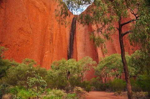 Uluru Sunrise And Guided Base Walk - Accommodation Gold Coast 3