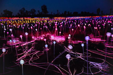 Uluru (Ayers Rock) Field Of Light Sunrise Tour - Accommodation Gold Coast 1