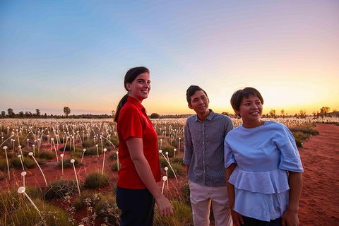 Uluru (Ayers Rock) Field Of Light Sunrise Tour - Accommodation Gold Coast 2