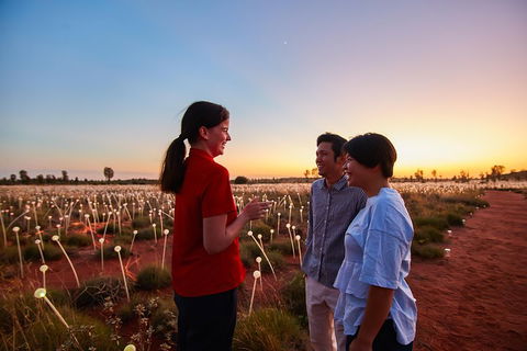 Uluru (Ayers Rock) Field Of Light Sunrise Tour - Accommodation Gold Coast 5