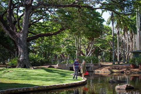 Darwin City Sights And Jumping Crocodile Cruise - Accommodation Gold Coast 5