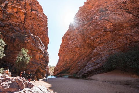 West MacDonnell Ranges- Half Day Trip From Alice Springs - Accommodation Gold Coast 0