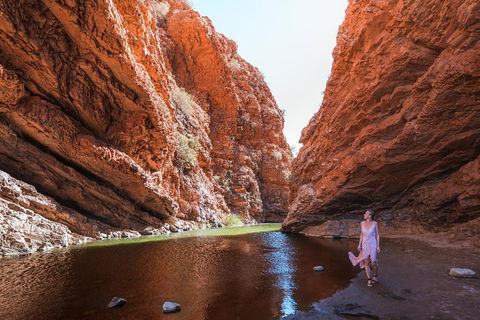 West MacDonnell Ranges- Half Day Trip From Alice Springs - Accommodation Gold Coast 1
