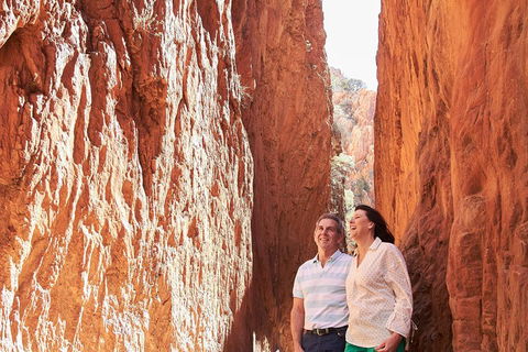 West MacDonnell Ranges- Half Day Trip From Alice Springs - Accommodation Gold Coast 2