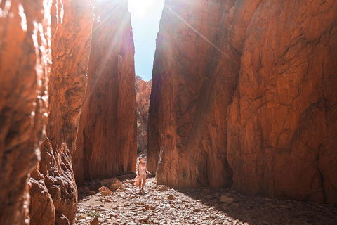 West MacDonnell Ranges- Half Day Trip From Alice Springs - Accommodation Gold Coast 4