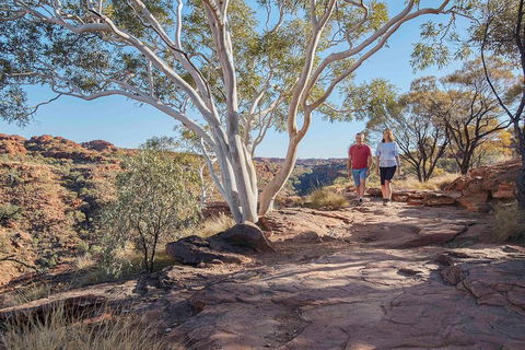 3-Day Tour From Uluru (Ayers Rock) To Alice Springs Via Kings Canyon - Accommodation Gold Coast 1