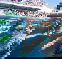 Great Barrier Reef Day Cruise from Cairns Including Snorkeling and Marine Biologist Presentation - Accommodation Gold Coast