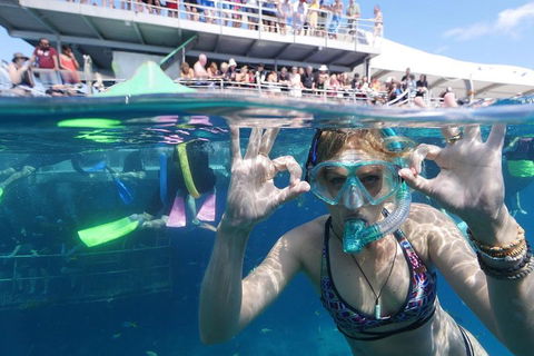 Great Barrier Reef Day Cruise From Cairns Including Snorkeling And Marine Biologist Presentation - Accommodation Gold Coast 0