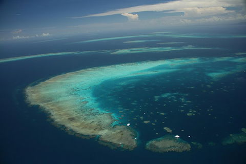 Great Barrier Reef Day Cruise From Cairns Including Snorkeling And Marine Biologist Presentation - Accommodation Gold Coast 1