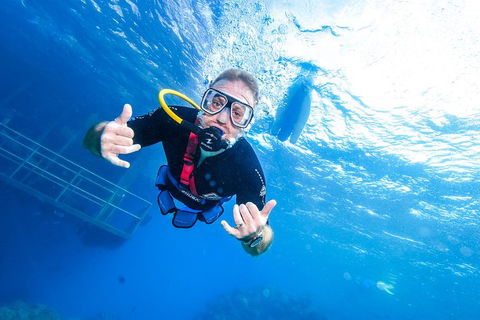 Great Barrier Reef Day Cruise From Cairns Including Snorkeling And Marine Biologist Presentation - Accommodation Gold Coast 3