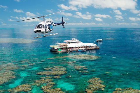 Great Barrier Reef Day Cruise From Cairns Including Snorkeling And Marine Biologist Presentation - Accommodation Gold Coast 5