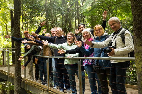 All Inclusive Blue Mountains Small-Group Day Trip From Sydney - Accommodation Gold Coast 5