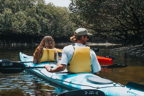 Kayak Tour In Adelaide Dolphin Sanctuary - Accommodation Gold Coast 2