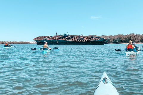 Kayak Tour In Adelaide Dolphin Sanctuary - Accommodation Gold Coast 3