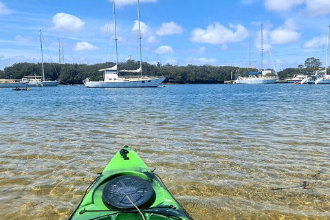Kayak Tour In Adelaide Dolphin Sanctuary - Accommodation Gold Coast 4