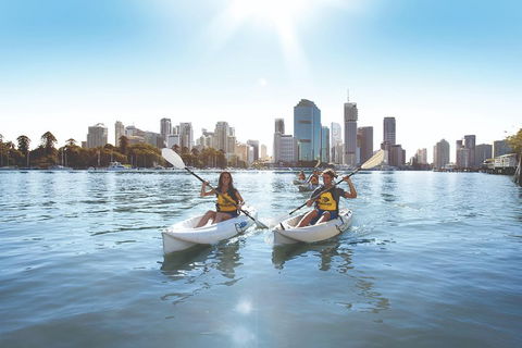 Brisbane Kayak Tour - Accommodation Gold Coast 0