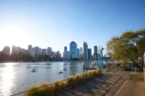 Brisbane Kayak Tour - Accommodation Gold Coast 1