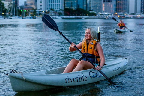 Brisbane Kayak Tour - Accommodation Gold Coast 2