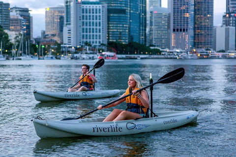 Brisbane Kayak Tour - Accommodation Gold Coast 3