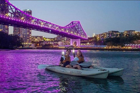 Brisbane Kayak Tour - Accommodation Gold Coast 4