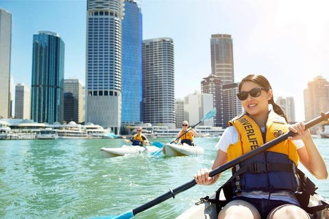 Brisbane Kayak Tour - Accommodation Gold Coast 5