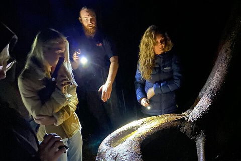 Evening Rainforest & Glow Worm Experience - Accommodation Gold Coast 2