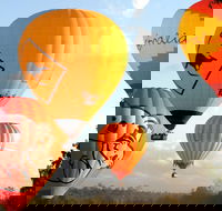 Natural Bridge  Springbrook Waterfalls Tour  Hot Air Balloon with Breakfast - Accommodation Gold Coast